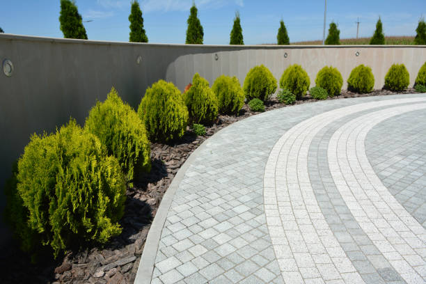 Best Interlocking Driveway Pavers  in Greensboro, AL